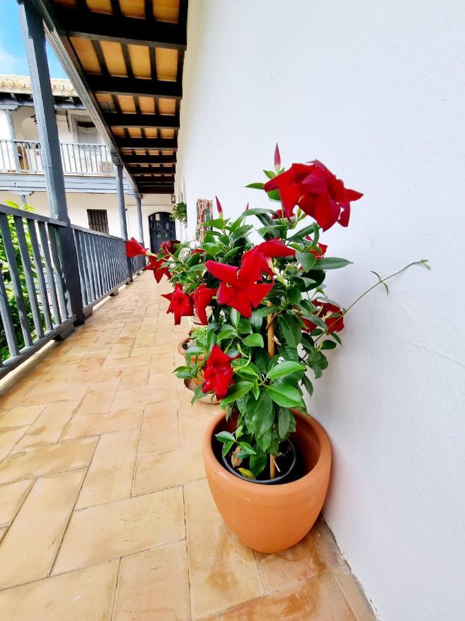Apartamento Con Patio Sevillano Exteriér fotografie
